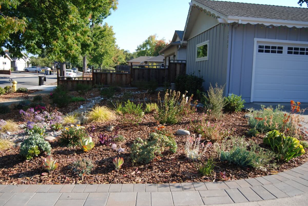 Water Efficient Garden - Save water beautifully - build a water